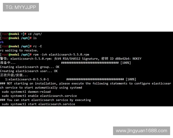 《探索Elk射手的技能与战略应用：从基础到高阶玩法全解析》